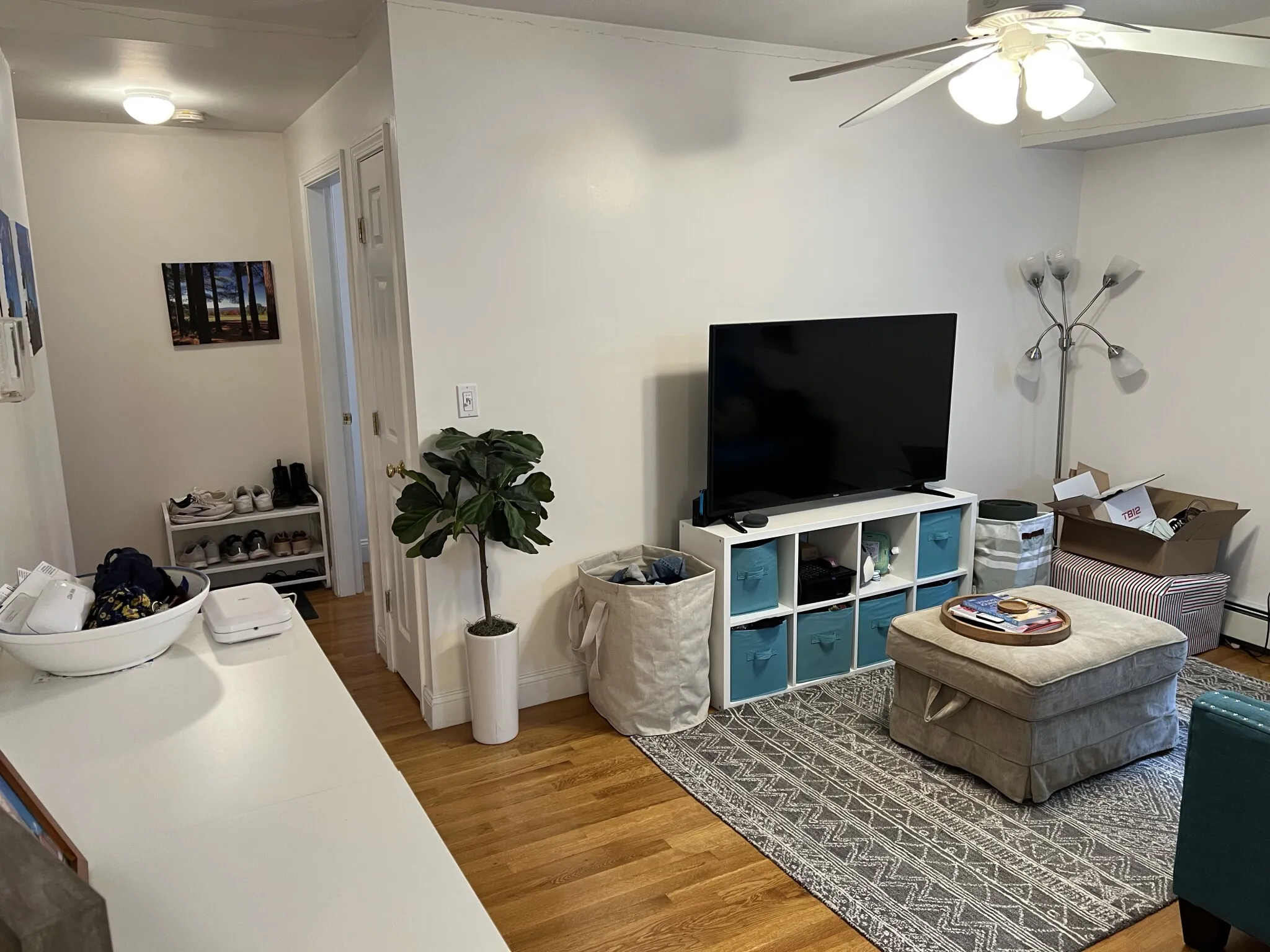 1 bed, 1 bath apartment for rent at 80 Sutherland Rd Unit 3AP, Brighton — photo 33 of 50