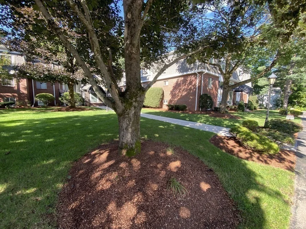 2 bed, 1 bath apartment for rent at 80 Walnut St Unit 108, Canton — photo 11 of 17