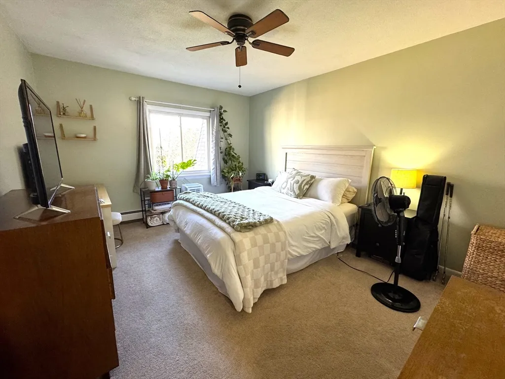 1 bed, 1 bath apartment for rent at 80 Walnut St Unit 210, Canton — photo 11 of 21