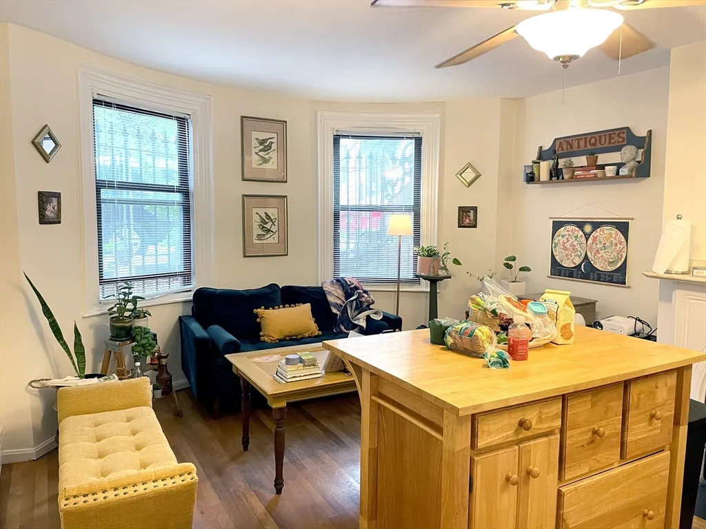 1 bed apartment for rent at 81 E Brookline St Unit 1, South End — photo 1 of 6