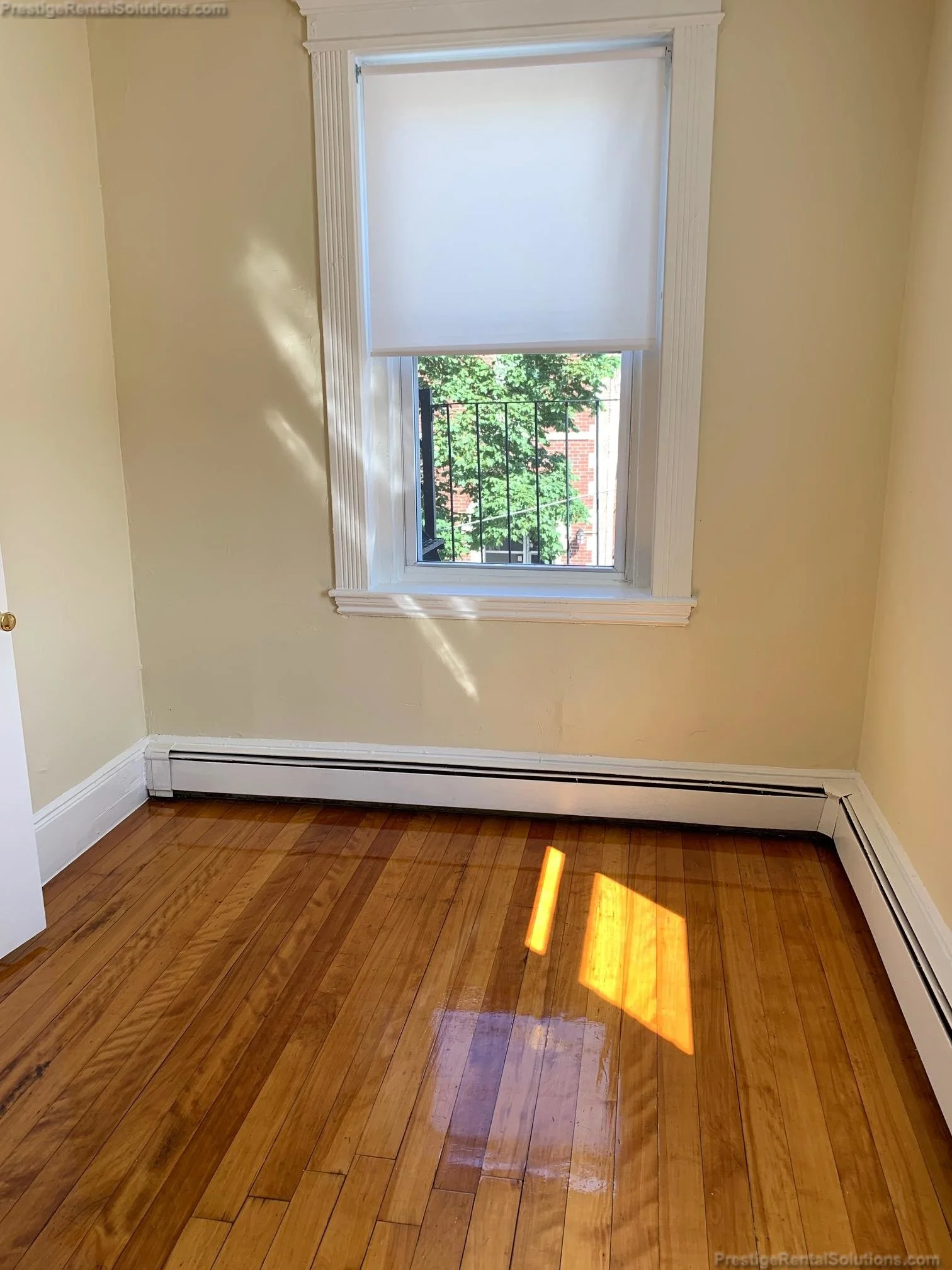 2 bed, 1 bath apartment for rent at 81 Empire St Unit 6, Allston — photo 11 of 13