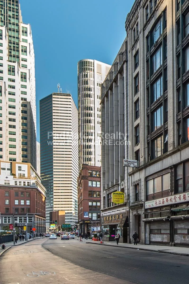 1 bed, 1 bath apartment for rent at 81 Essex St Unit 84, Chinatown — photo 2 of 3