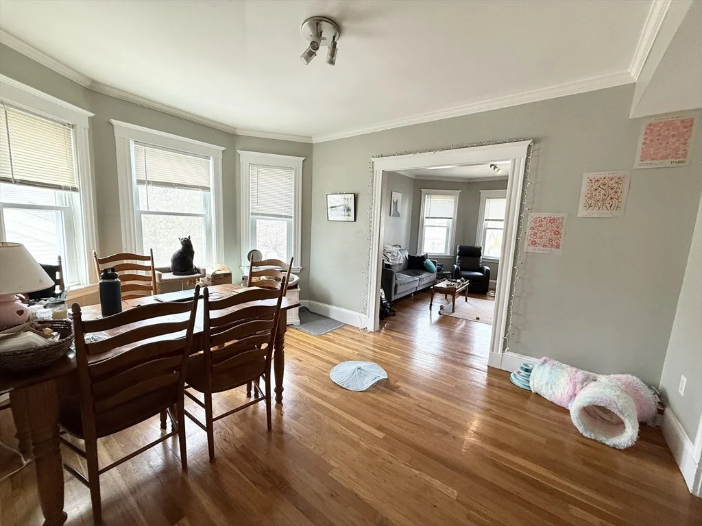 3 bed, 1 bath apartment for rent at 81 Florence St Unit 2, Jamaica Plain — photo 3 of 11