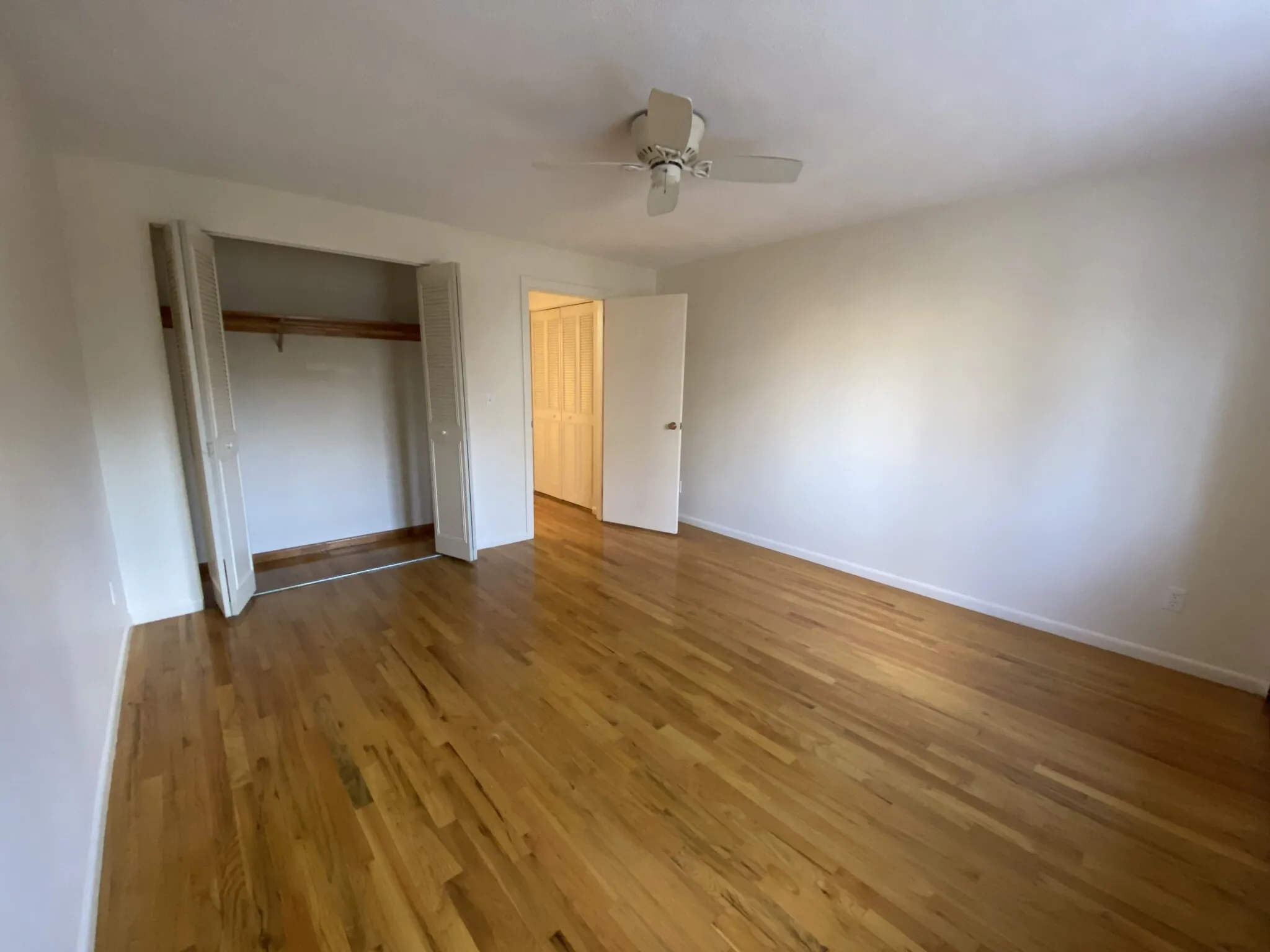 1 bed, 1 bath apartment for rent at 81 Green St Unit 24, Coolidge Corner — photo 11 of 18