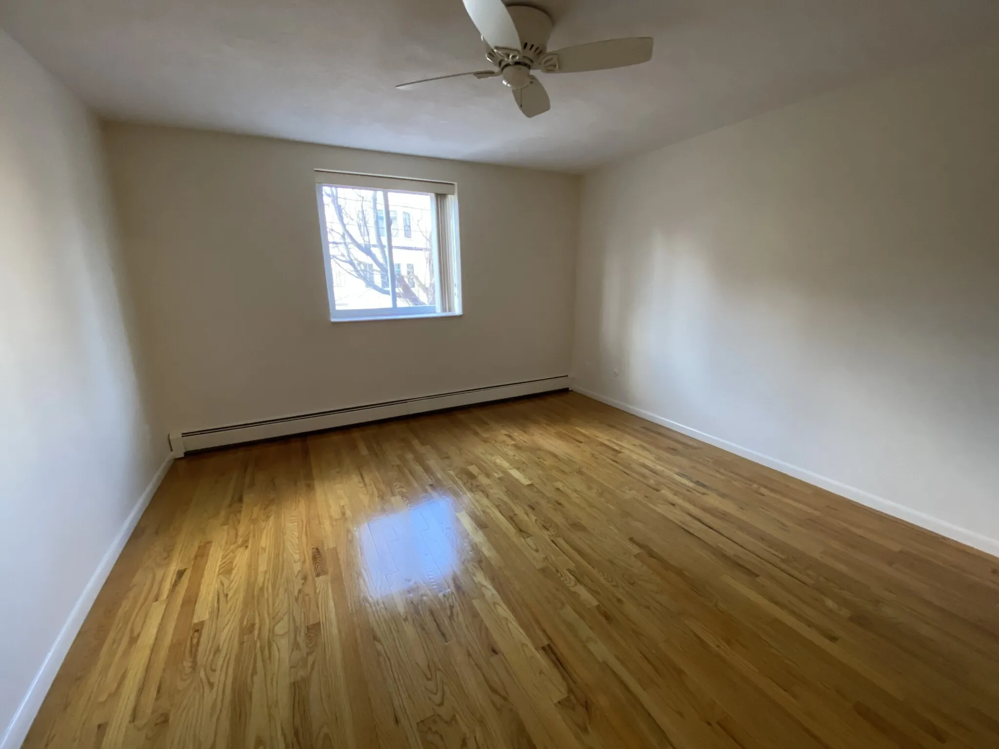 1 bed, 1 bath apartment for rent at 81 Green St Unit 24, Coolidge Corner — photo 13 of 18