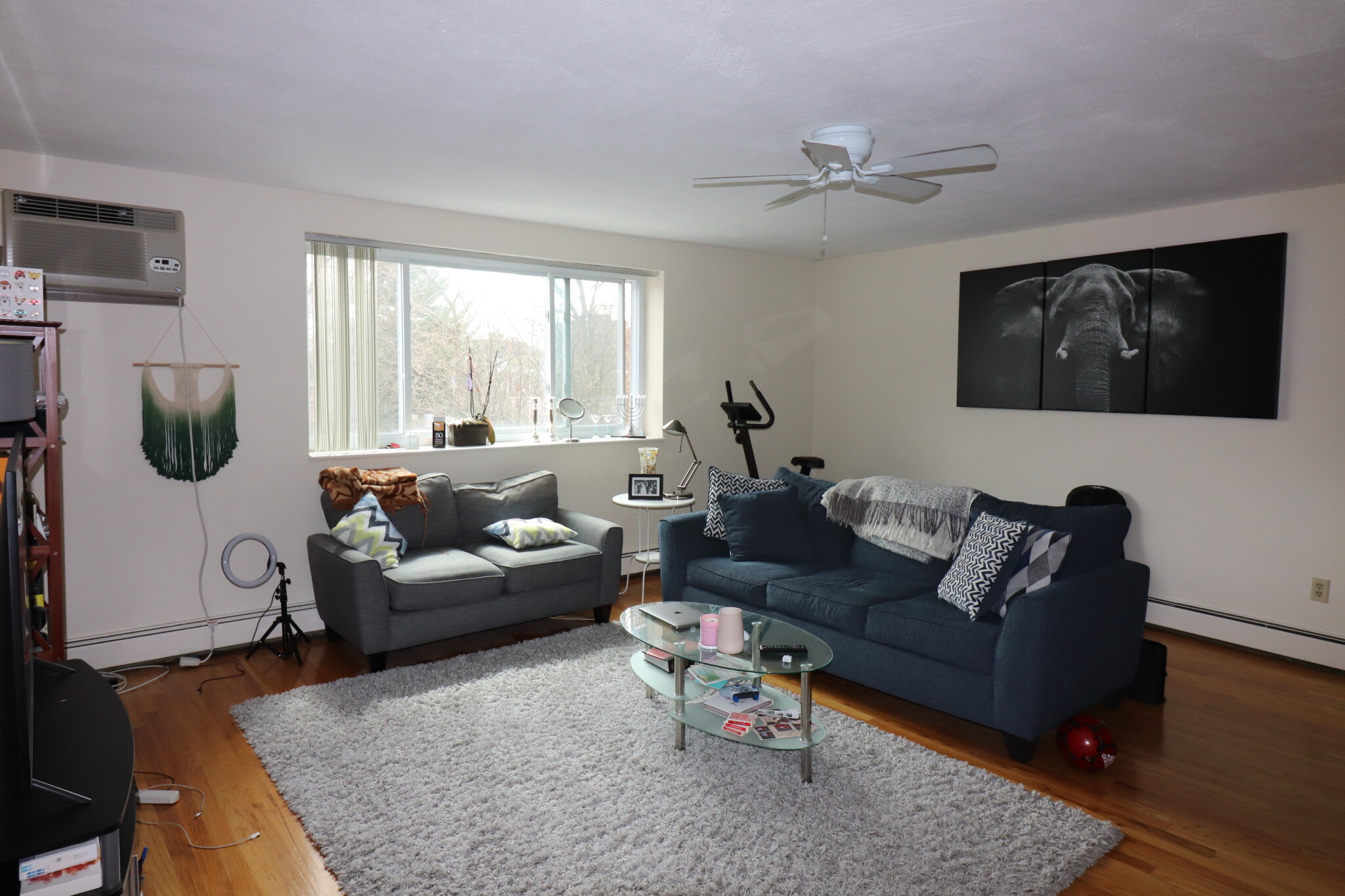 1 bed, 1 bath apartment for rent at 81 Green St Unit 41, North Brookline