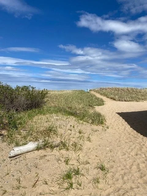 3 bed, 2 bath apartment for rent at 81 Northern Unit WINTER, Plum Island — photo 21 of 22