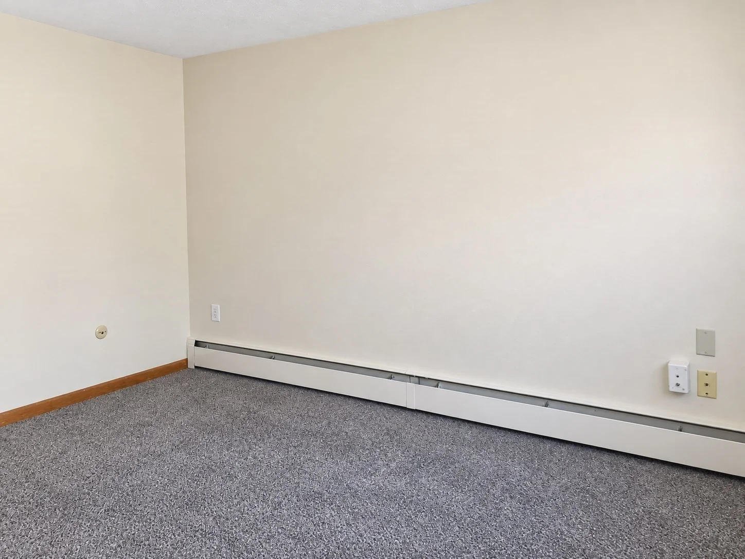 1 bed, 1 bath apartment for rent at 81 Trapelo Unit 58, Waltham — photo 14 of 15
