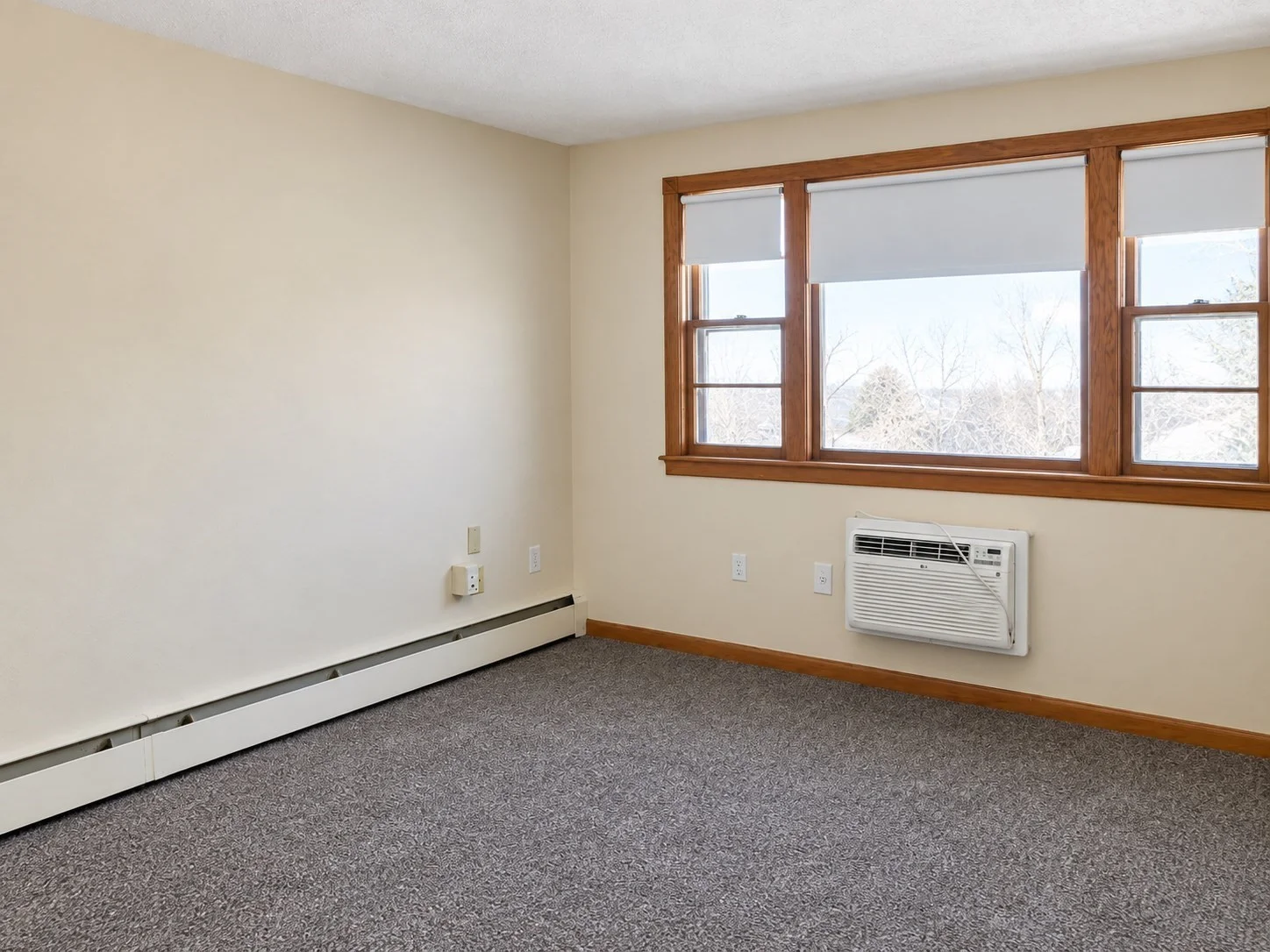 1 bed, 1 bath apartment for rent at 81 Trapelo Unit 58, Waltham — photo 6 of 15