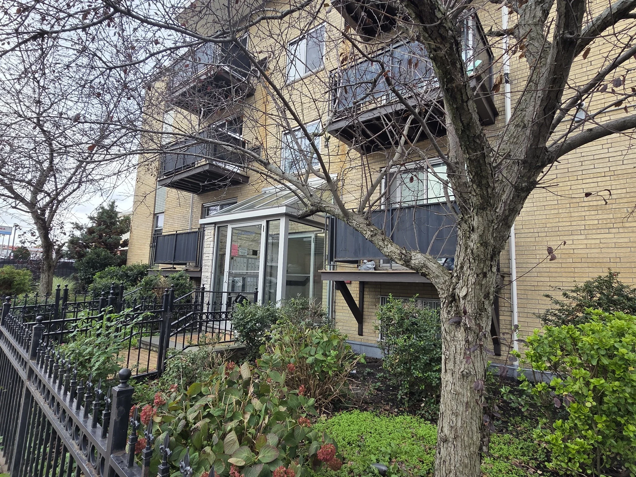 2 bed, 1 bath apartment for rent at 815 Morton Unit 1, Mattapan — photo 14 of 15