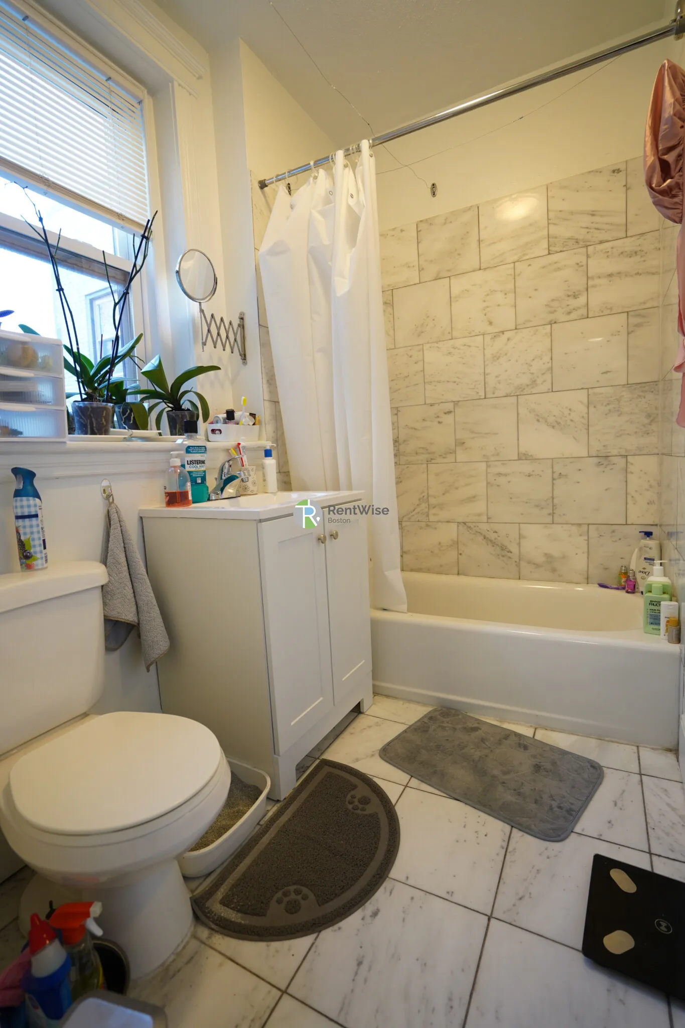 1 bed, 1 bath apartment for rent at 82 Brainerd Rd Unit 18, Allston — photo 20 of 34