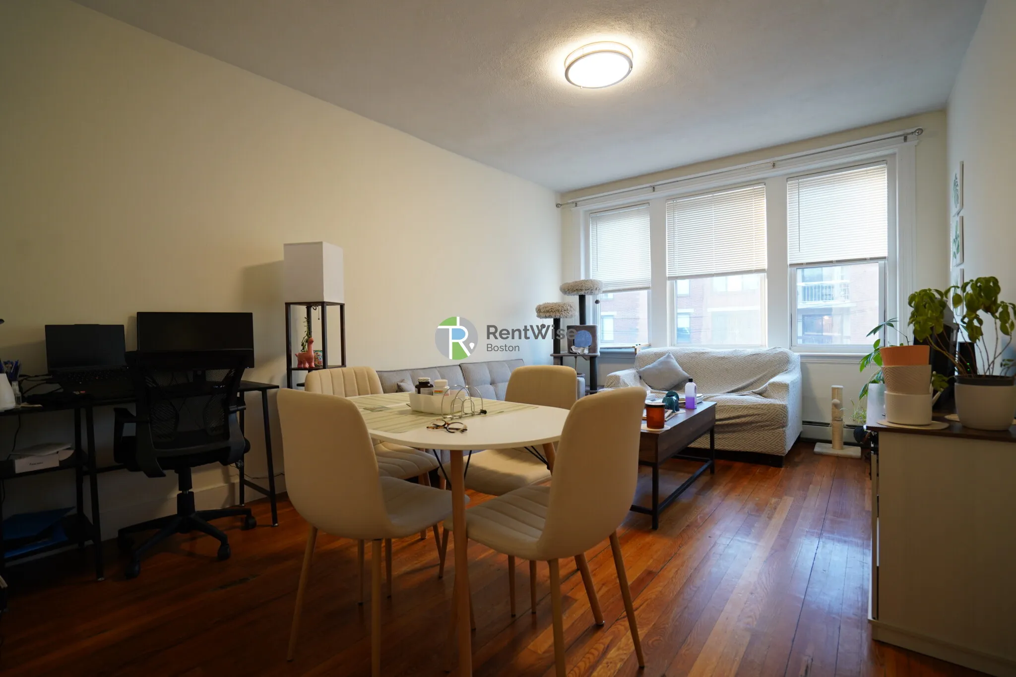 1 bed, 1 bath apartment for rent at 82 Brainerd Rd Unit 19, Allston — photo 13 of 34