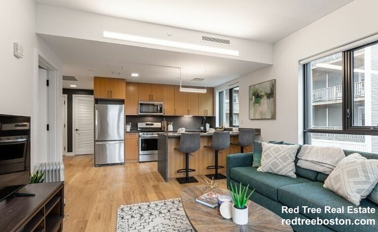 2 bed, 2 bath apartment for rent at 83 Gardner St Unit 308, Allston — photo 3 of 10