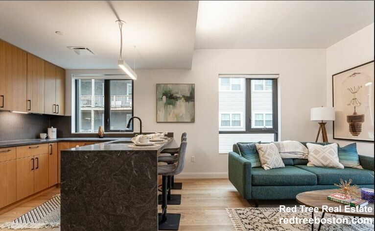 2 bed, 2 bath apartment for rent at 83 Gardner St Unit 308, Allston — photo 1 of 10