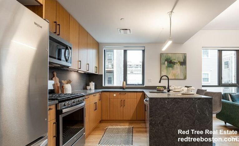 2 bed, 2 bath apartment for rent at 83 Gardner St Unit 308, Allston — photo 2 of 10