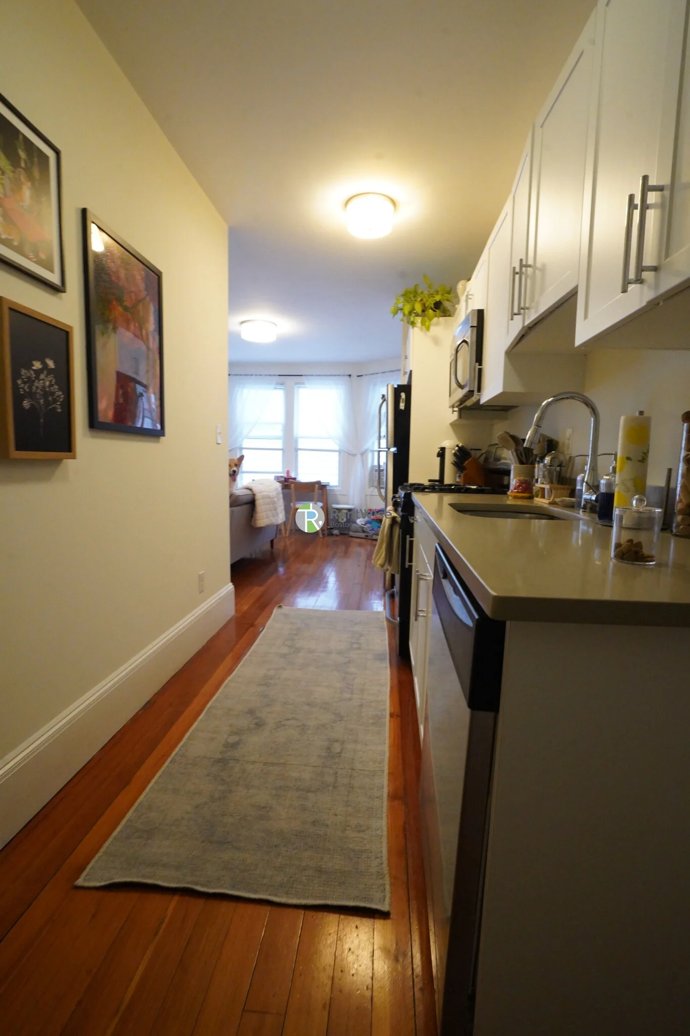 1 bed, 1 bath apartment for rent at 83 Harvard St Unit 26, Central Village — photo 13 of 16
