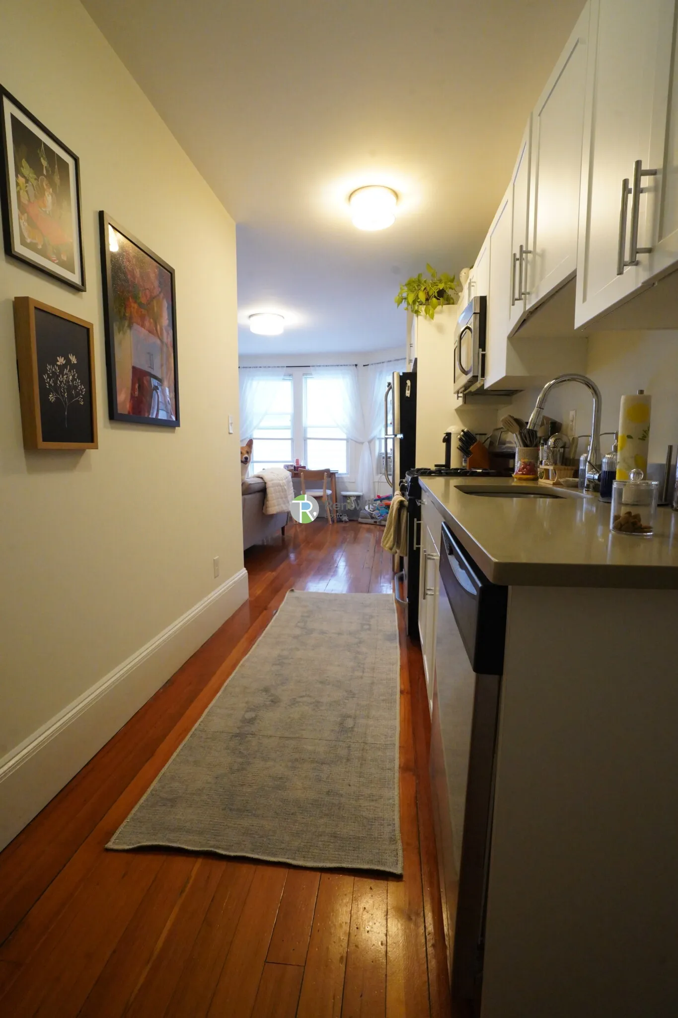 1 bed, 1 bath apartment for rent at 83 Harvard St Unit 26, Central Village — photo 12 of 16