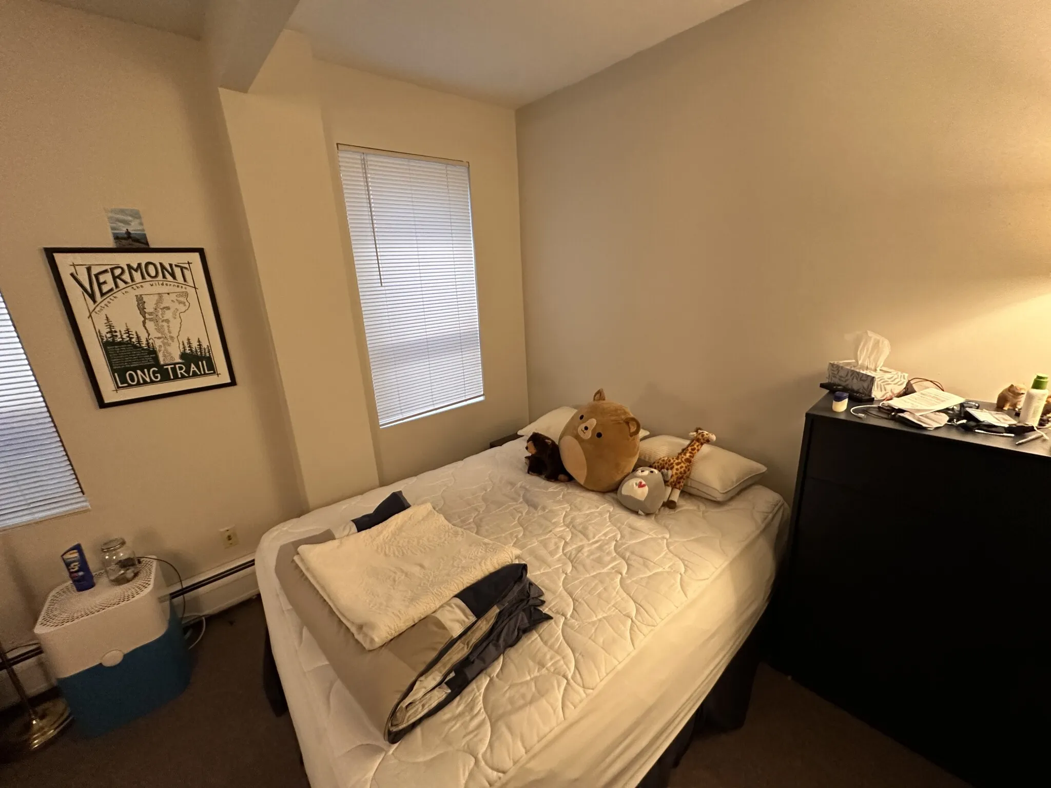 Studio bed, 1 bath apartment for rent at 833 Beacon St Unit 203, Fenway — photo 2 of 23
