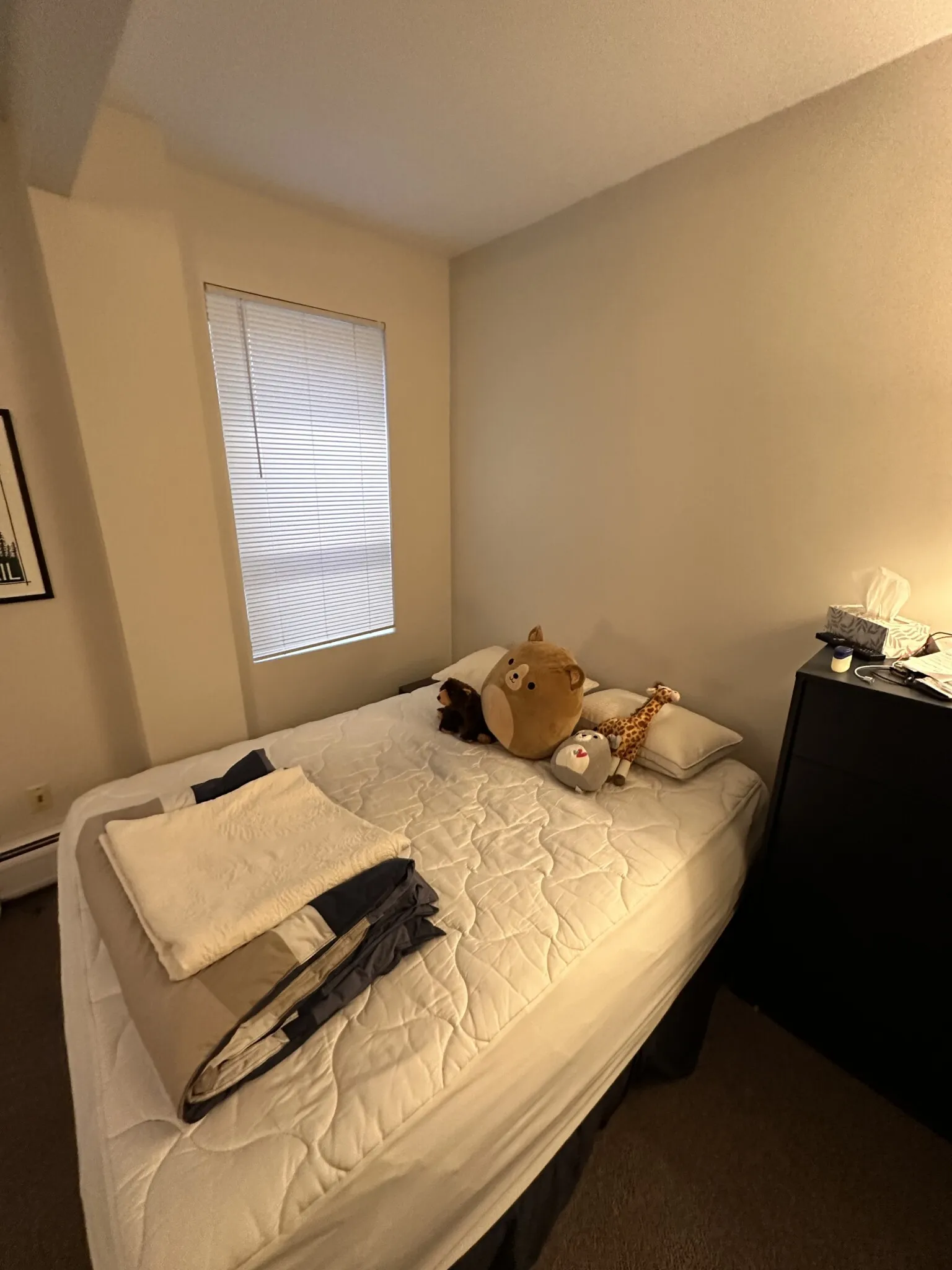 Studio bed, 1 bath apartment for rent at 833 Beacon St Unit 203, Fenway — photo 14 of 23