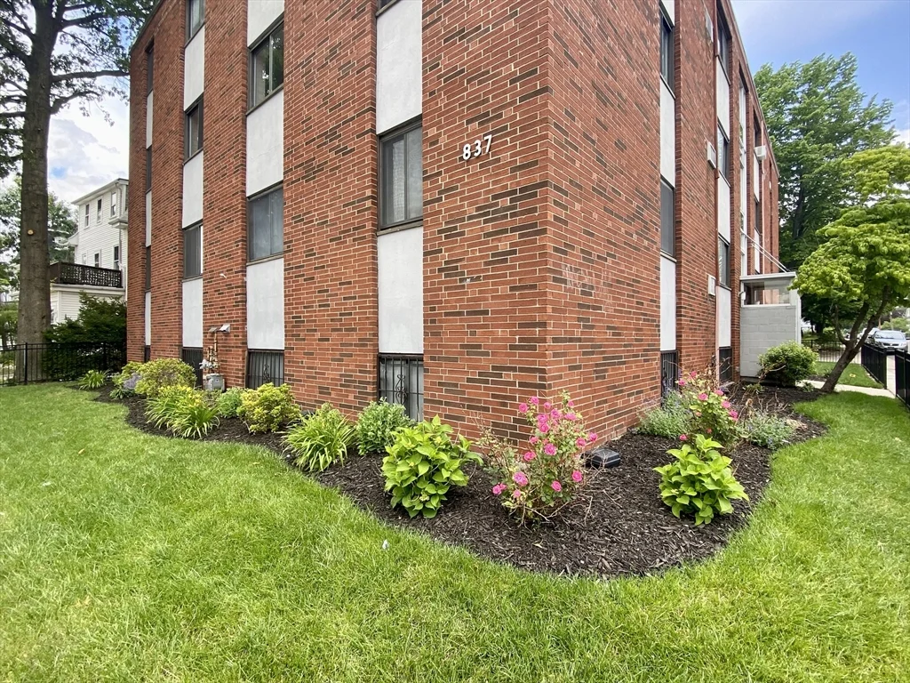 2 bed, 1 bath apartment for rent at 837 River St Unit 14, Hyde Park — photo 8 of 9