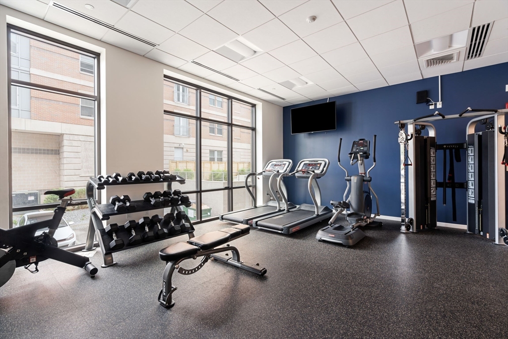 1 bed, 1 bath apartment for rent at 839 Beacon St Unit 304, Fenway — photo 15 of 18