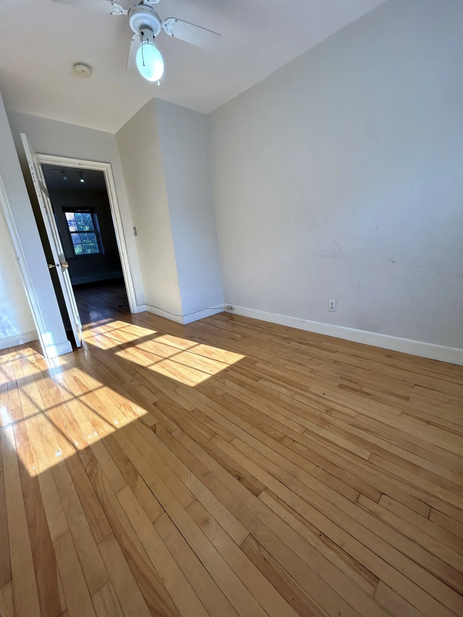 1.5 bed, 1 bath apartment for rent at 84 Boylston St Unit 2, Chestnut Hill — photo 18 of 28