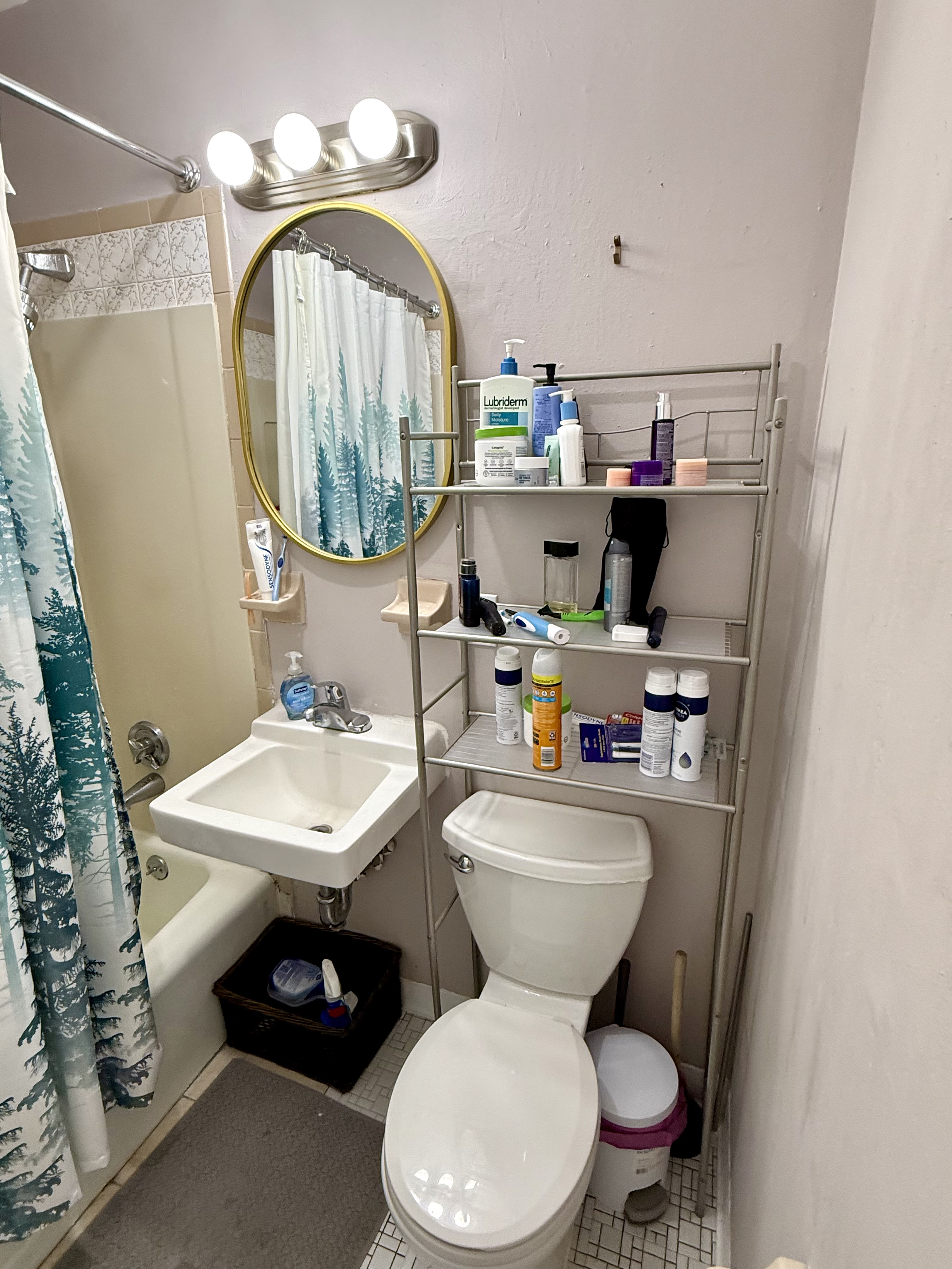 Studio bed, 1 bath apartment for rent at 84 Chandler St Unit 7A, South End — photo 12 of 13
