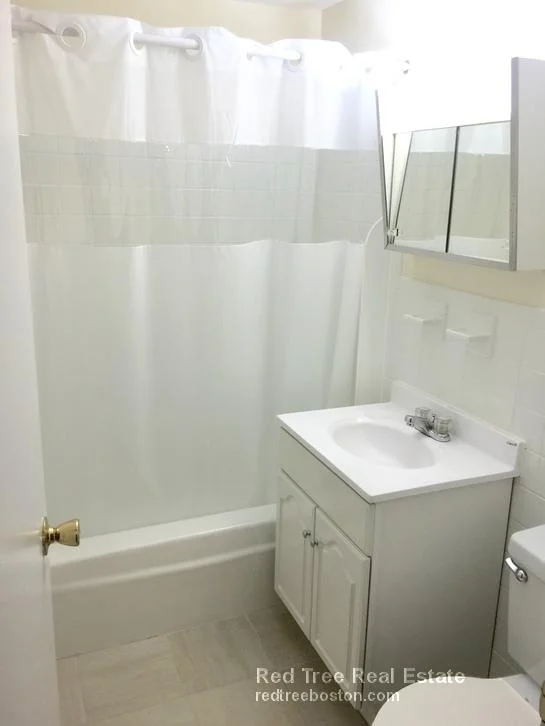 1 bed, 2 bath apartment for rent at 84 Gardner St Unit 26, Allston — photo 4 of 5