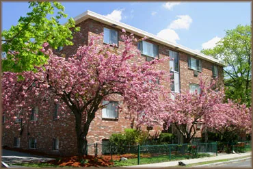 1 bed, 1 bath apartment for rent at 84 Gardner St Unit 84-2B, Allston — photo 21 of 21