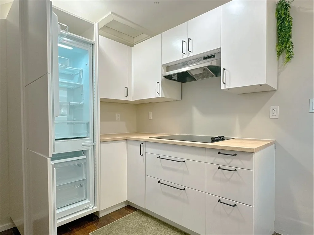 1 bed, 1 bath apartment for rent at 84 Greenwood St Unit 3L, Dorchester — photo 7 of 8
