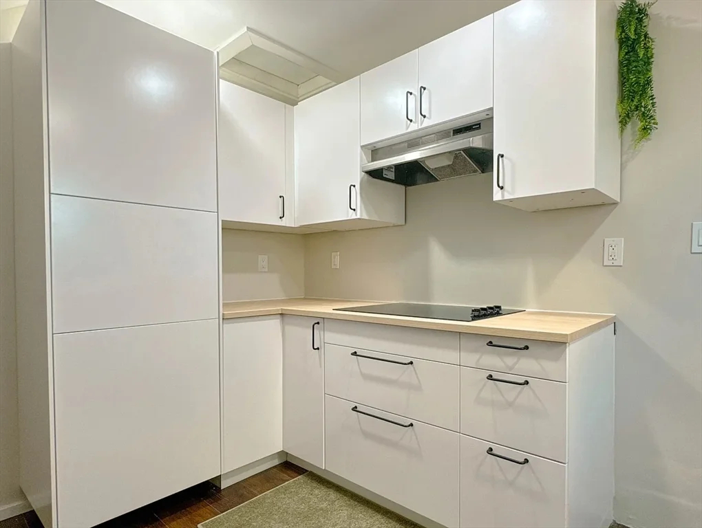 1 bed, 1 bath apartment for rent at 84 Greenwood St Unit 3L, Dorchester — photo 2 of 8