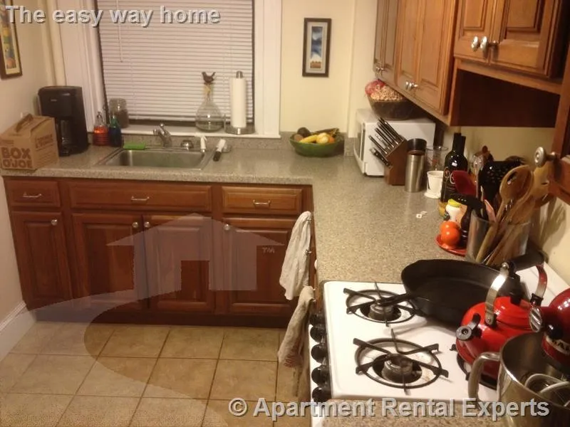1 bed, 1 bath apartment for rent at 84 Prescott St Unit 2, Harvard Square — photo 6 of 16