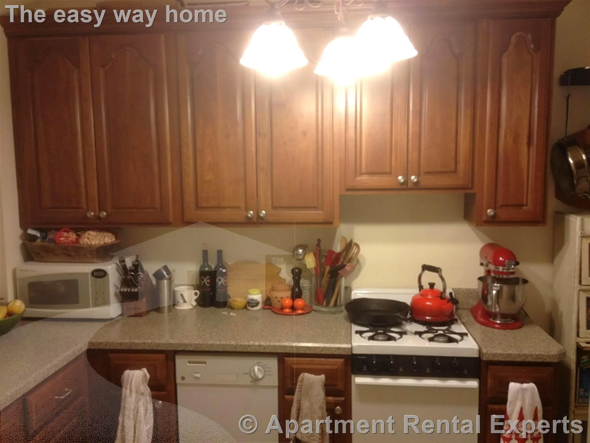 1 bed, 1 bath apartment for rent at 84 Prescott St Unit 2, Harvard Square — photo 5 of 16