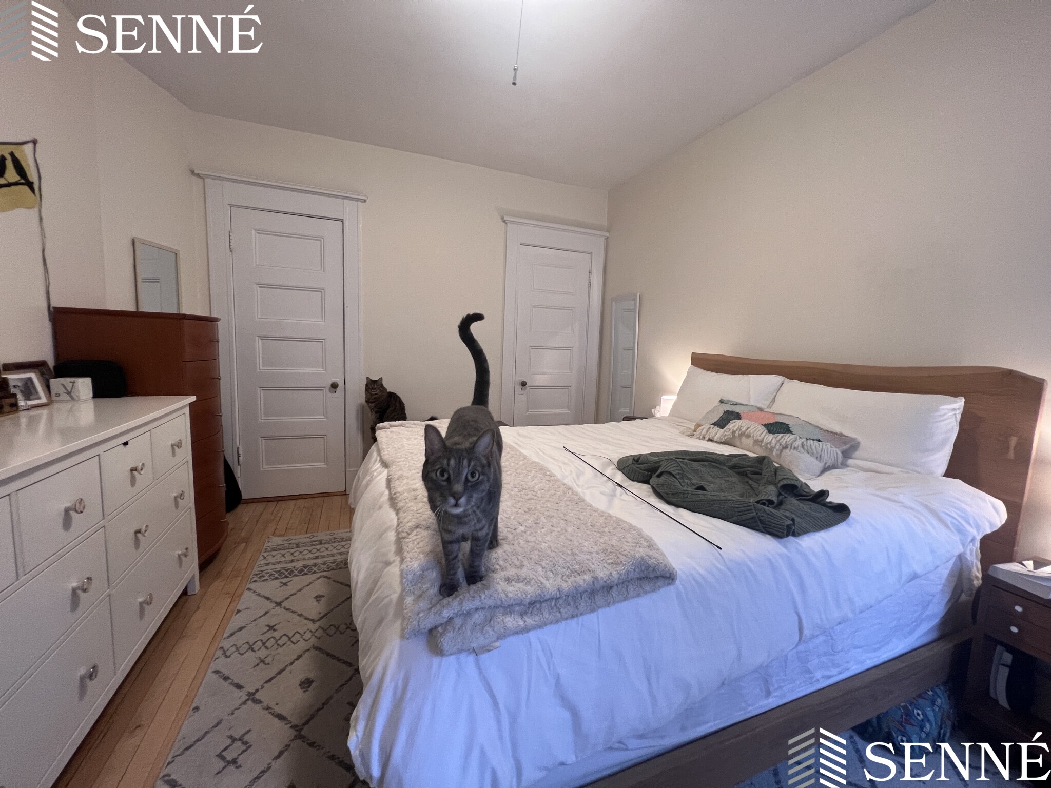 1 bed, 1 bath apartment for rent at 84 Prescott St Unit 33, Mid Cambridge — photo 11 of 18