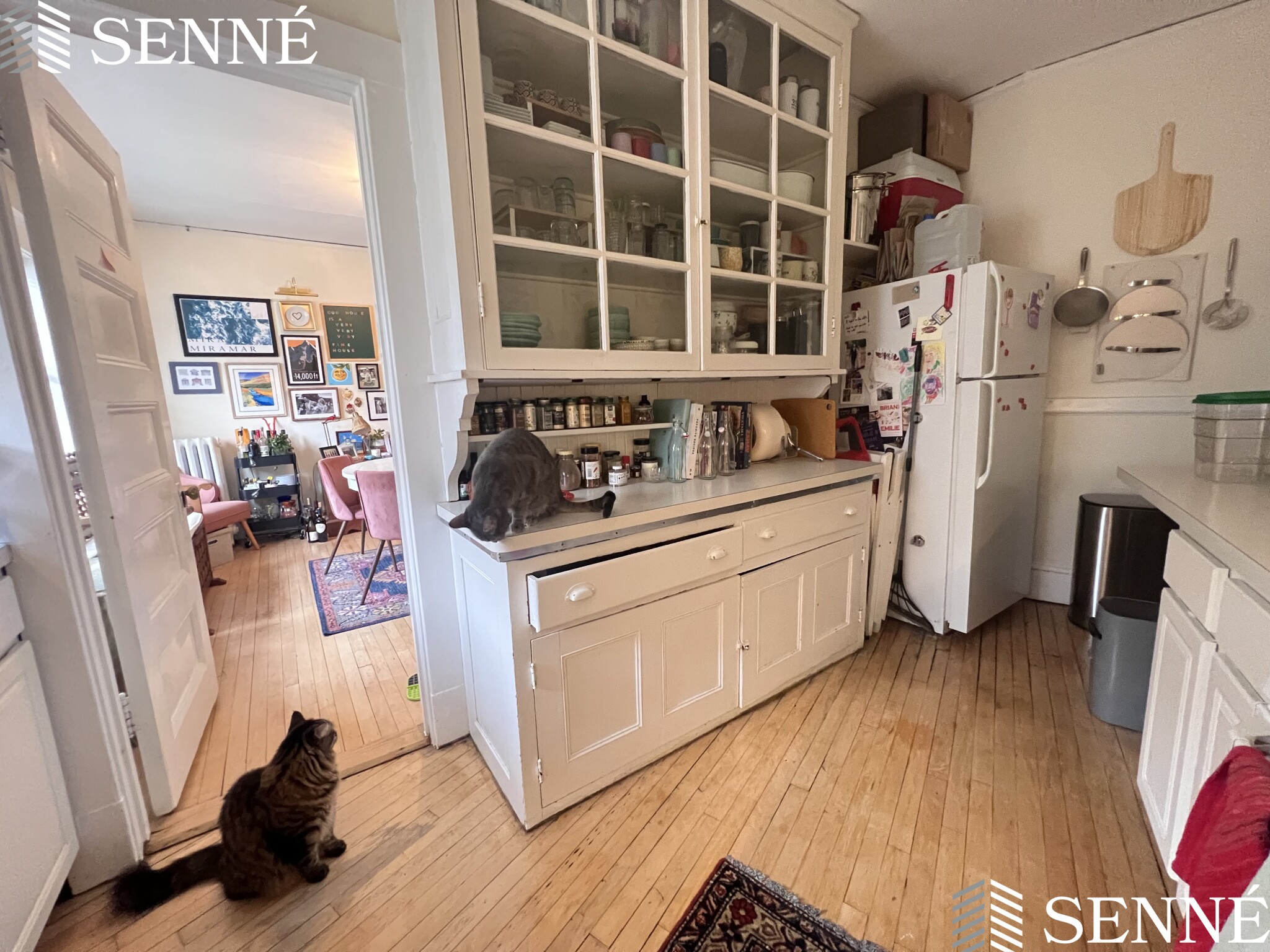 1 bed, 1 bath apartment for rent at 84 Prescott St Unit 33, Mid Cambridge — photo 4 of 18
