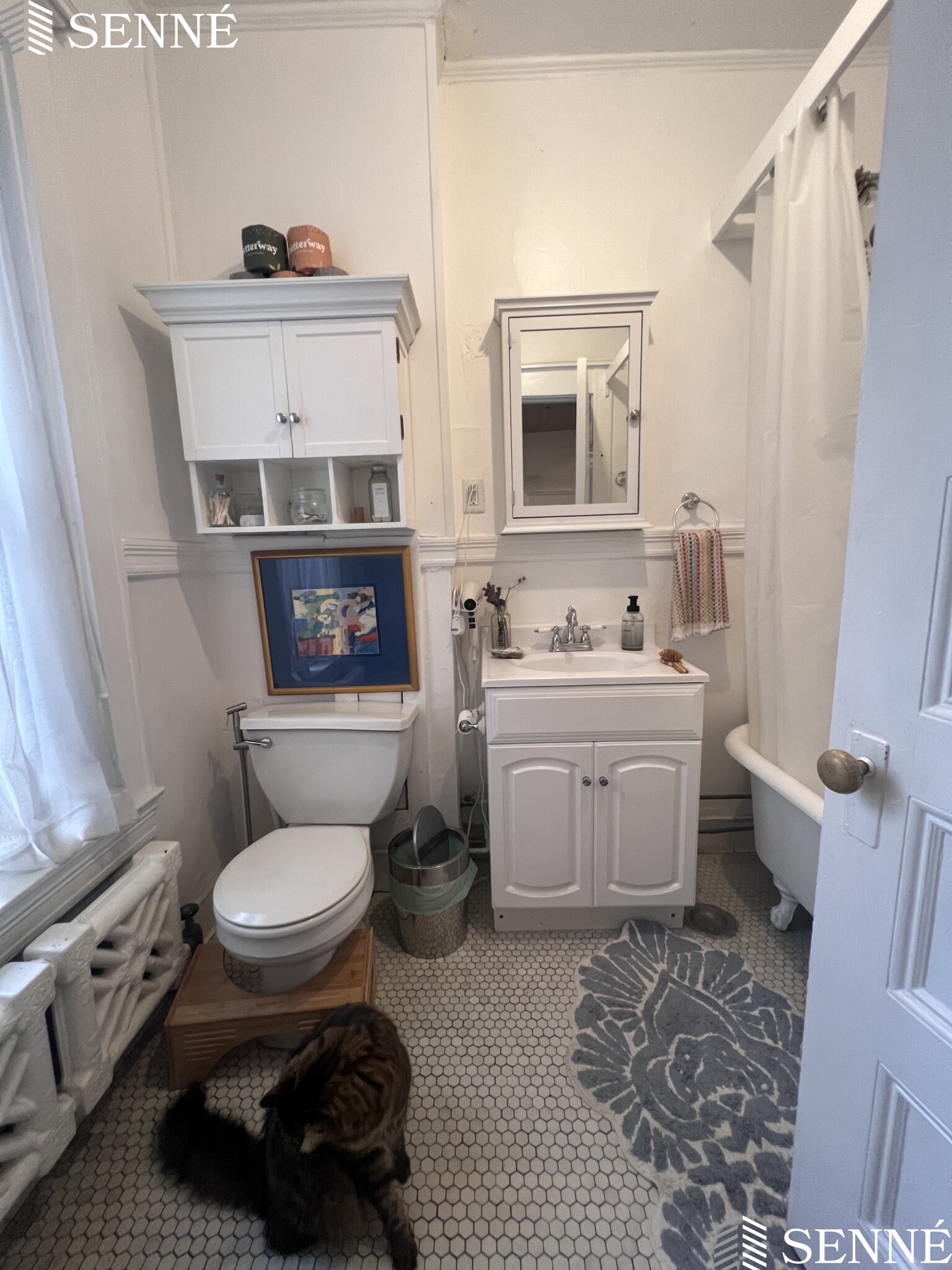1 bed, 1 bath apartment for rent at 84 Prescott St Unit 33, Mid Cambridge — photo 7 of 18