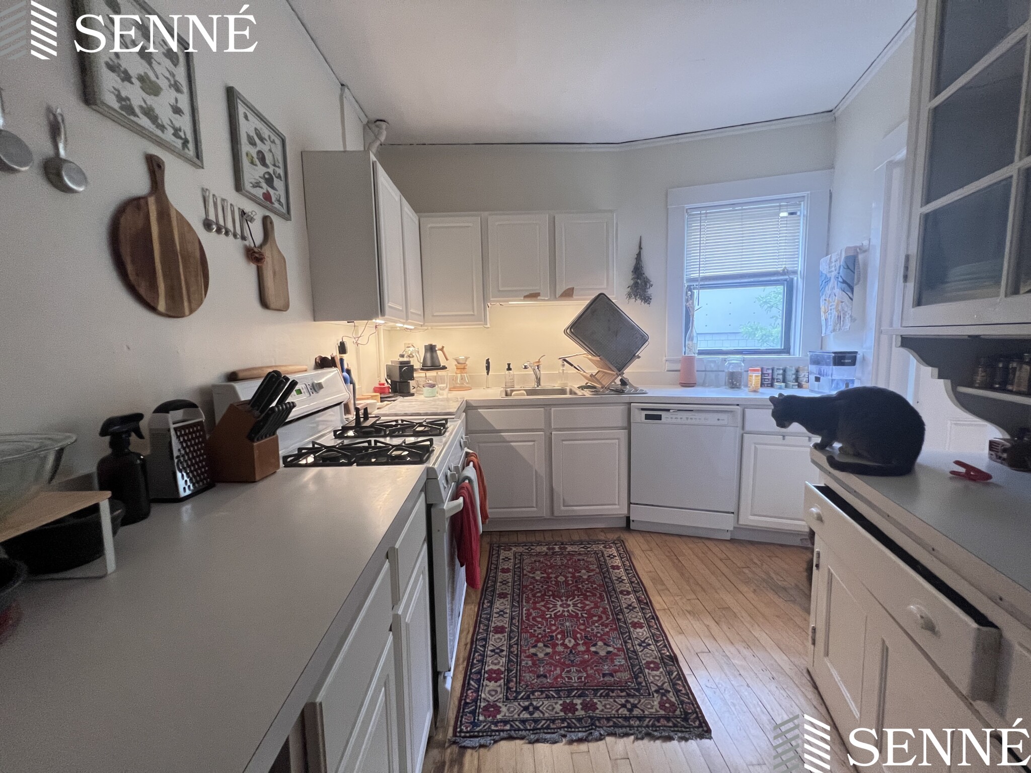 1 bed, 1 bath apartment for rent at 84 Prescott St Unit 33, Mid Cambridge — photo 6 of 18