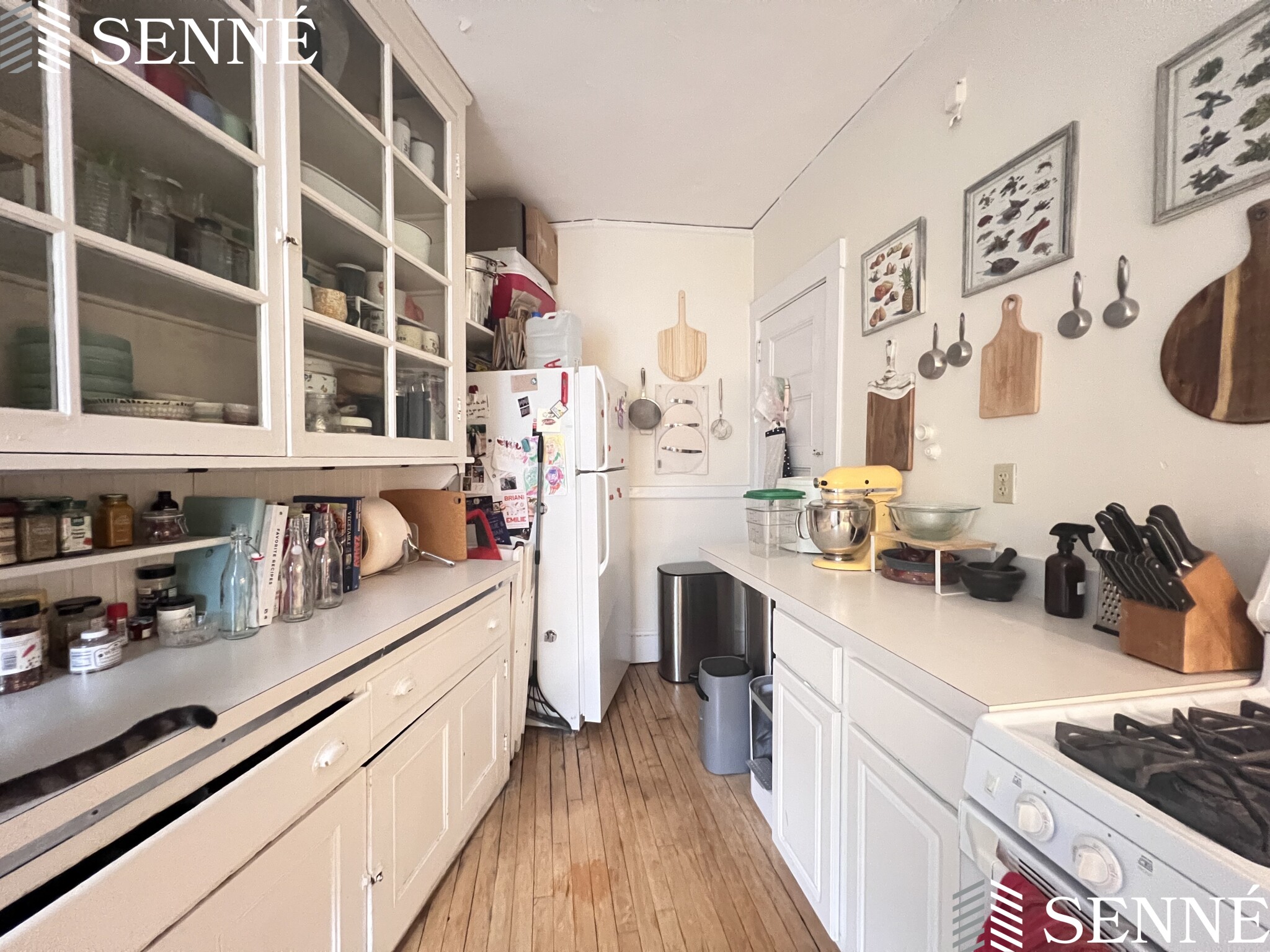 1 bed, 1 bath apartment for rent at 84 Prescott St Unit 33, Mid Cambridge — photo 5 of 18