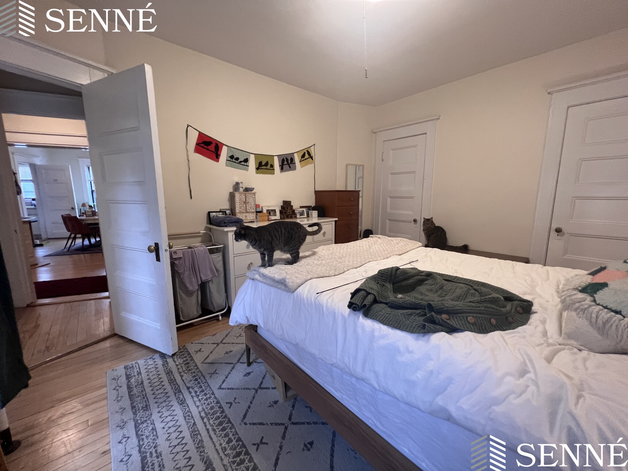 1 bed, 1 bath apartment for rent at 84 Prescott St Unit 33, Mid Cambridge — photo 10 of 18