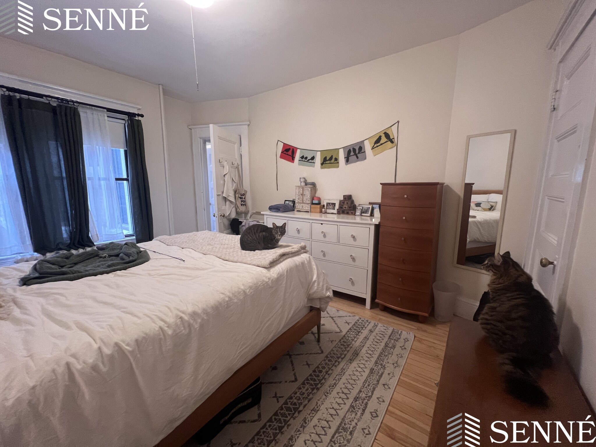 1 bed, 1 bath apartment for rent at 84 Prescott St Unit 33, Mid Cambridge — photo 9 of 18
