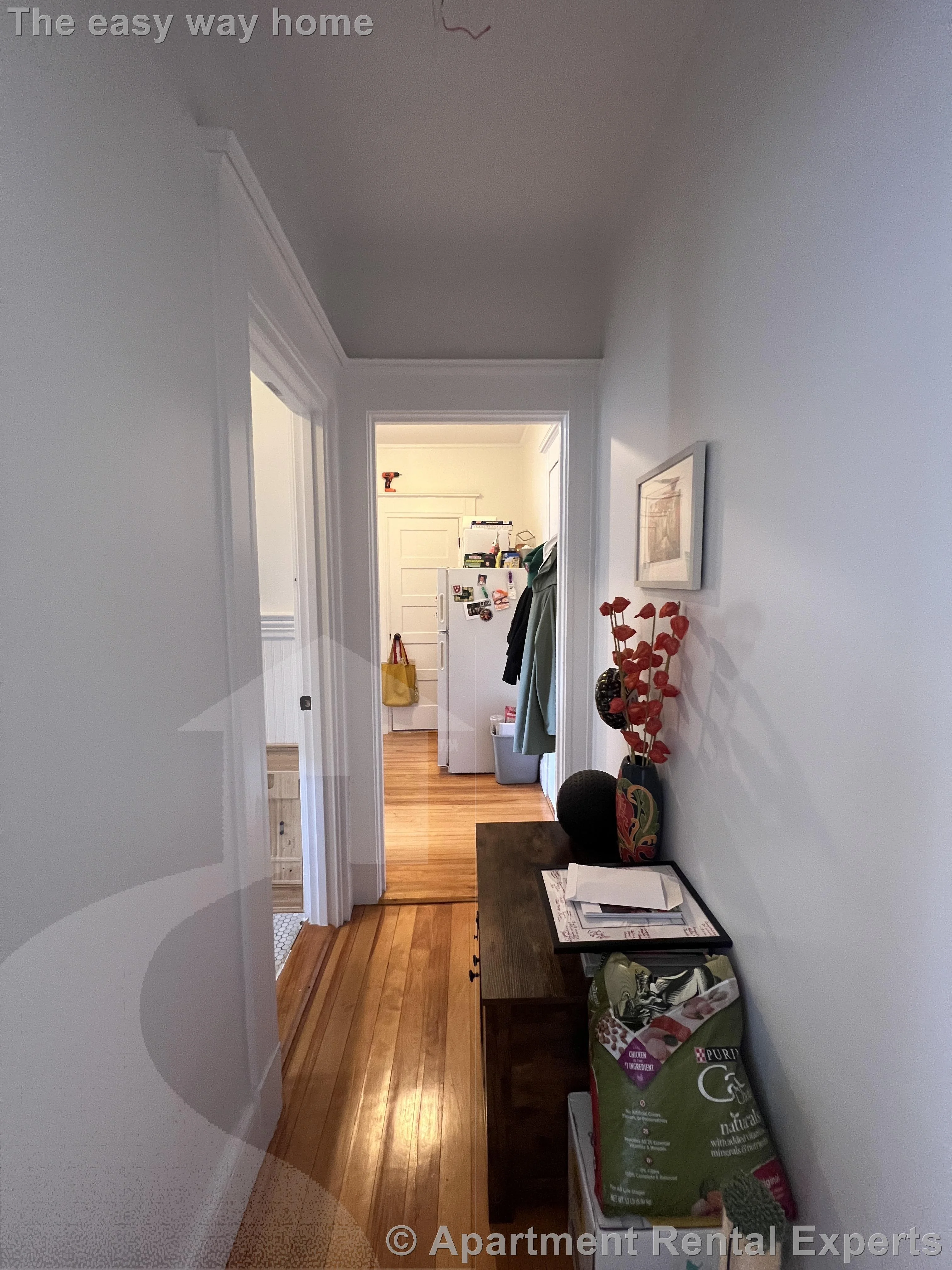 1 bed, 1 bath apartment for rent at 84 Prescott St Unit 47, Harvard Square — photo 8 of 11