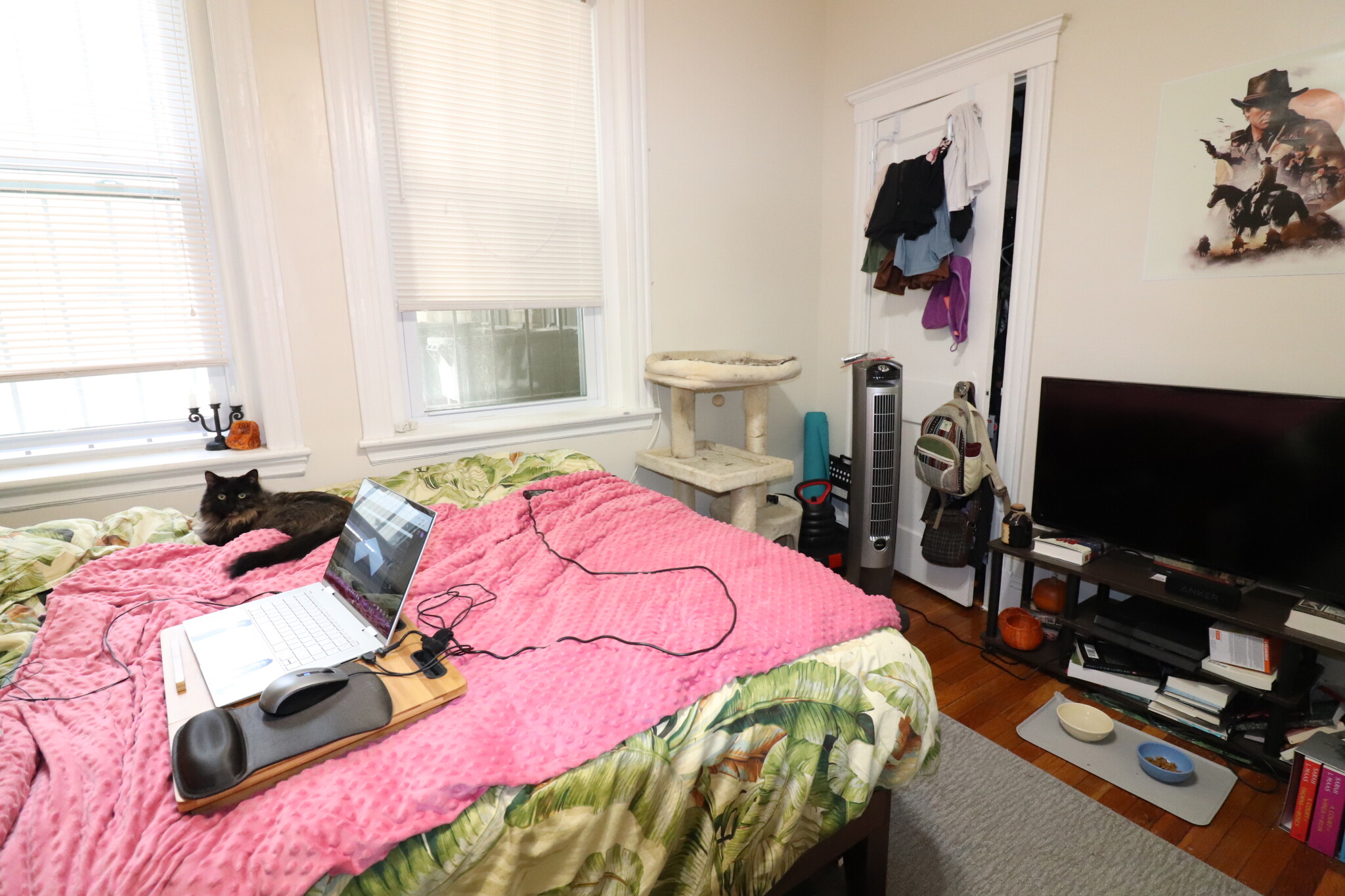 1.5 bed, 1 bath apartment for rent at 84 Sutherland Rd Unit 1, Brighton — photo 9 of 24