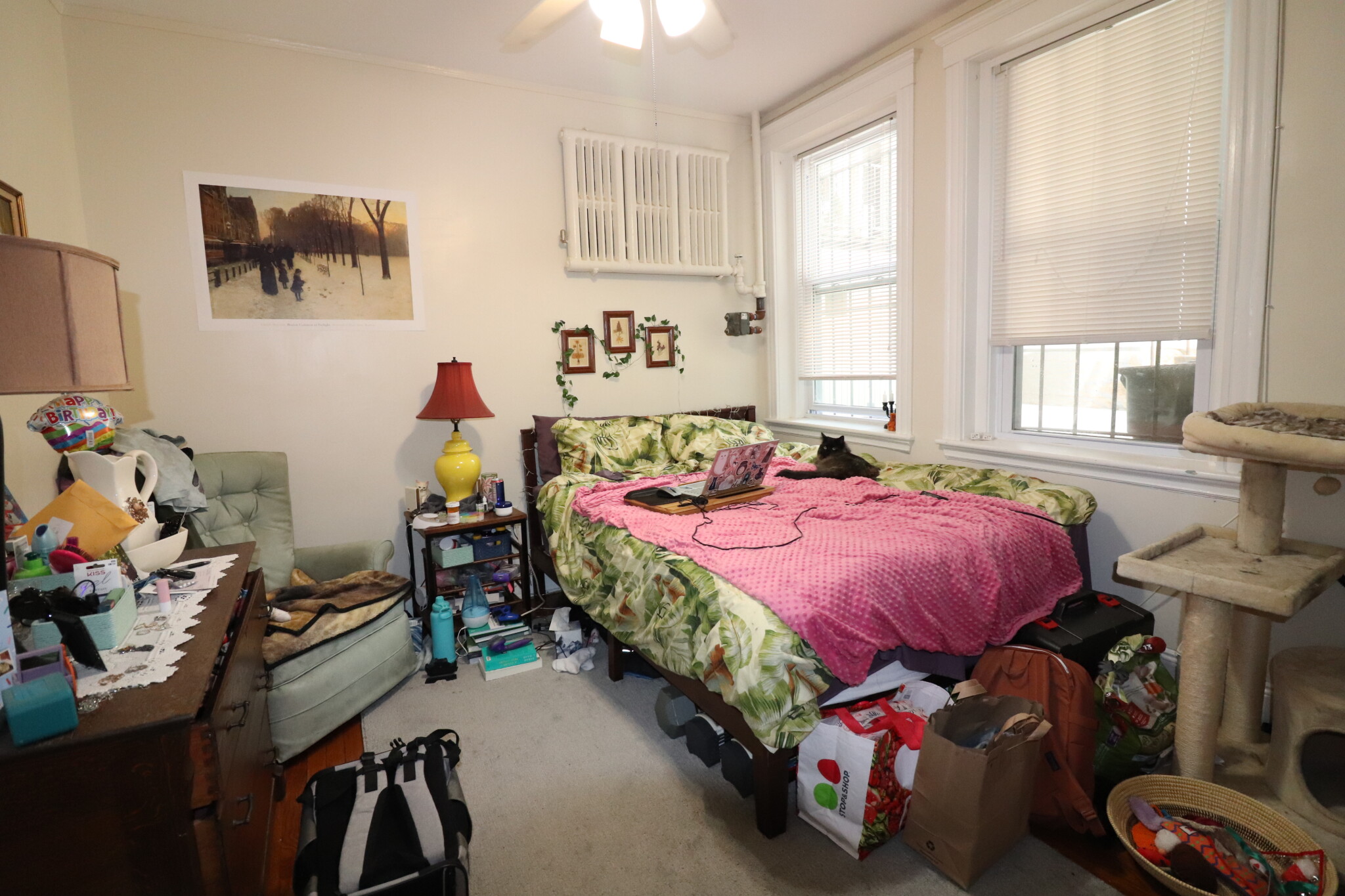 1.5 bed, 1 bath apartment for rent at 84 Sutherland Rd Unit 1, Brighton — photo 8 of 24