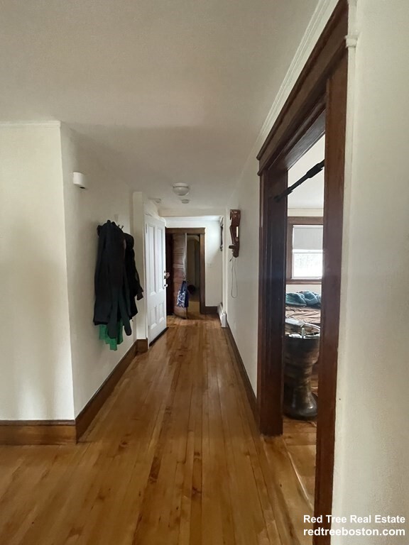4 bed, 1 bath apartment for rent at 84 Walker St Unit 3, Newtonville — photo 3 of 10