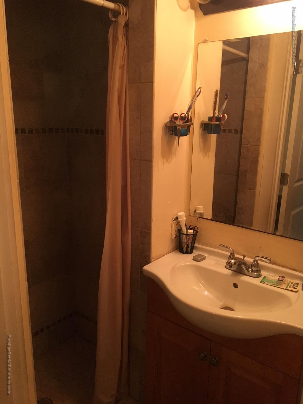1 bed, 1 bath apartment for rent at 842 Dorchester Ave Unit B, Dorchester — photo 6 of 11