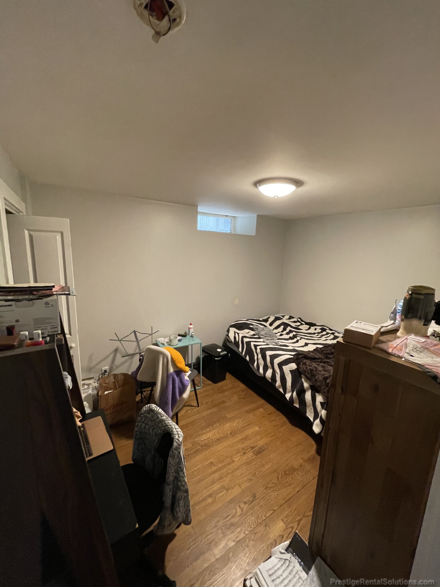 1 bed, 1 bath apartment for rent at 842 Dorchester Ave Unit B, Dorchester — photo 3 of 11