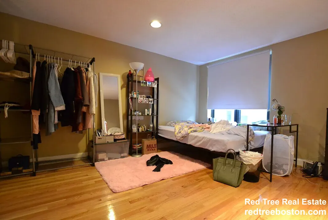 3 bed, 2 bath apartment for rent at 85 Brainerd Rd Unit 1, Brighton — photo 16 of 23
