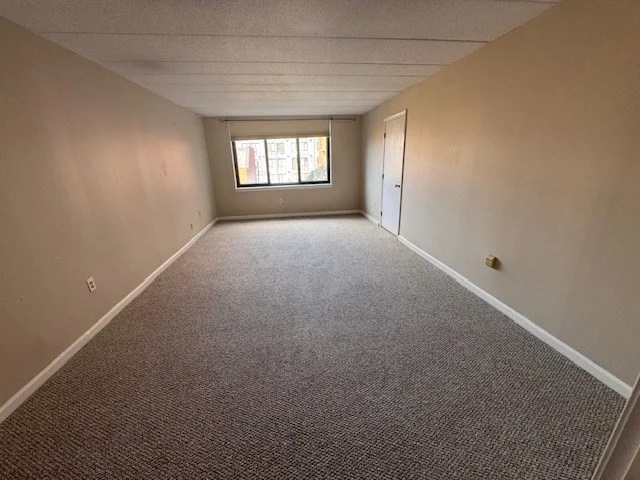 2 bed, 2 bath apartment for rent at 85 Brainerd Rd Unit 307, Brighton — photo 8 of 22