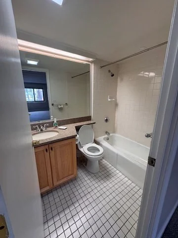2 bed, 2 bath apartment for rent at 85 Brainerd Rd Unit 307, Brighton — photo 10 of 22