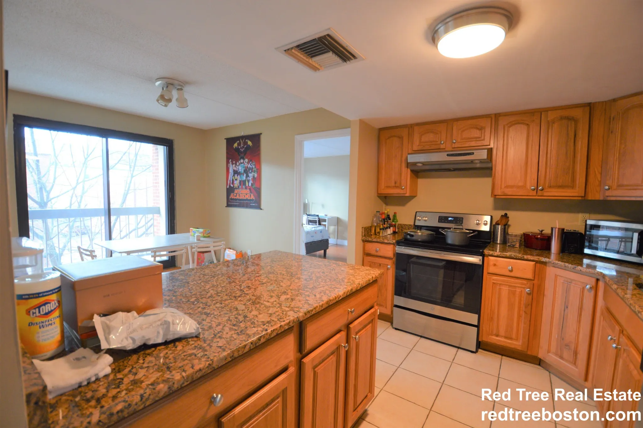 2 bed, 2 bath apartment for rent at 85 Brainerd Rd Unit 316, Brighton — photo 5 of 18